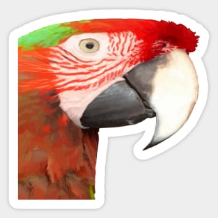 A Beautiful Bird Harlequin Macaw Portrait Vector Sticker